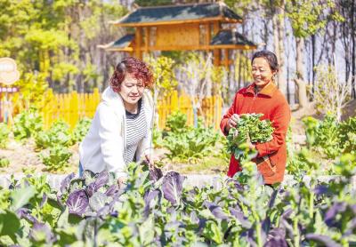 鄂州梁子湖创新农旅融合，带领村民“吃生态饭”
