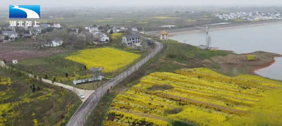 “一号公路”串村成线 为樊城农旅融合发展注入新动能