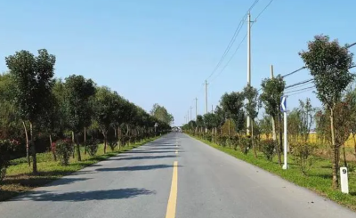 湖北一季度新改建农村公路3050公里 普通公路完成投资162.6亿元