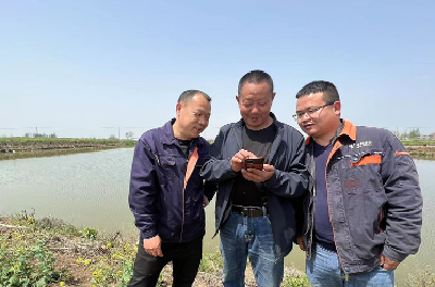 物联网、5G、云技术！中国电信智慧渔业让村民点手机就能喂鱼