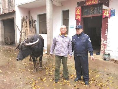 武汉江夏民警升无人机为村民找耕牛 