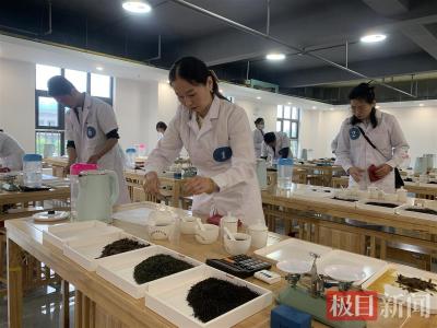 第七届红安老君眉茶文化节举办