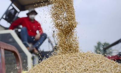 襄州165台烘干设备24小时服务 确保小麦颗粒归仓