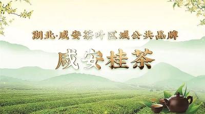 咸安茶叶有了集体商标 咸安茶叶区域公共品牌咸安桂茶诞生