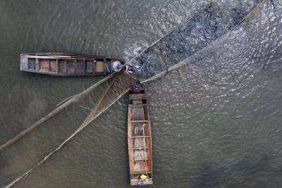 渔网变“触网”，蔡甸桐湖挖掘鱼文化、拓宽鱼产业