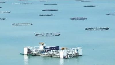 广东渔业重器打造海上粮仓