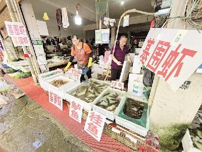 汉产基围虾从捕捞到上市仅需3小时 春节前后武汉人都可享受吃虾自由
