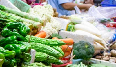 襄阳保康蔬菜产业年产量8500万公斤