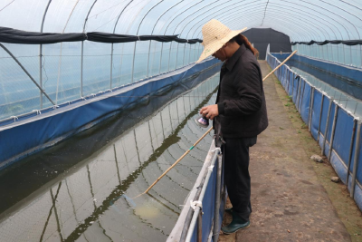 特色水产养殖蹚出“蛭”富路