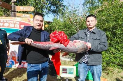 武汉野生动物王国捕鱼节开幕 57斤“鱤鱼王”拍出1.6万元高价