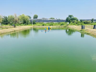 《四川省水产种质资源保护区管理实施细则》印发 今年12月1日起施行