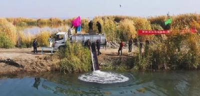5万尾扁吻鱼鱼苗投放至新疆博斯腾湖