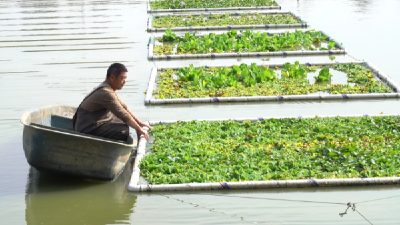 江夏综合治理养殖尾水 发展高质量现代渔业