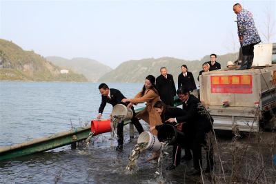 3人非法捕鱼300斤，增殖放流4万尾鱼苗“补过”