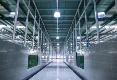 水产品总产量46.8万吨，这里还是我国北方重要的鱼苗养殖基地