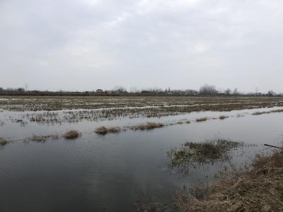 冬季水产养殖技术指引发布！