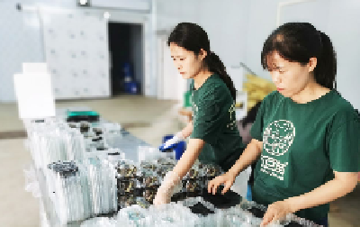 螃蟹喜获丰收 “绿色食品”助力养殖产业振兴