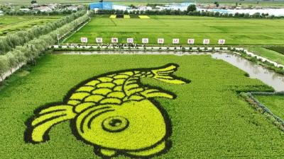 2022全国稻渔综合种养模式创新大赛获奖模式案例宣传（一）