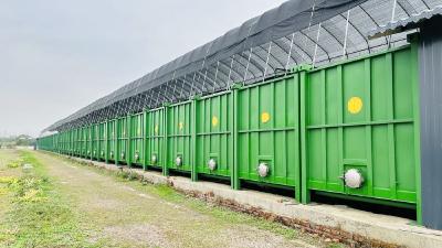 集装箱养鱼 工厂化种菜——武汉都市农业“新花样”