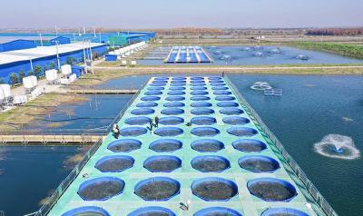 武汉蔡甸巧用循环水发展生态渔业