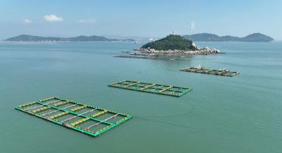 “一条鱼”游出大产业！看“世界美食之都”潮州如何深挖海洋资源