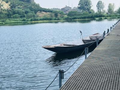 “从南到北”，石斑鱼如何把握“新机遇”？