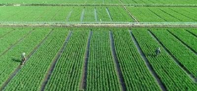 2022全国稻渔综合种养模式创新大赛获奖模式案例宣传（三）