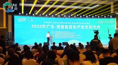 广东清远全链条赋能桂花鱼产业高质量发展