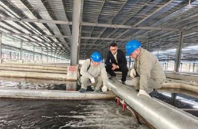 “光伏发电+鲟鱼养殖”，崇阳县青山镇“鲟”到乡村振兴致富路