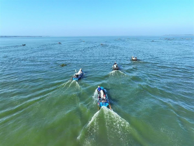 人欢鱼跃秋捕忙！武汉市江夏斧头湖开湖捕鱼