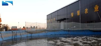 科技赋能渔业 增产又高效