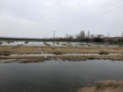 农作物低温冻害风险预警