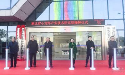 “潜江龙虾”新发展丨湖北省小龙虾产业技术研究院揭牌暨签约仪式在潜江举行