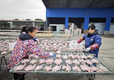 大冶小小风干鱼，撬动千万大产业