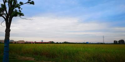 冬季水产养殖防范应对低温雨雪冰冻灾害天气技术指引发布！