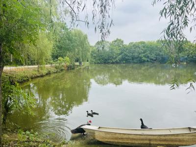 2023年国家产地水产品兽药残留监测抽检合格率为99.5%