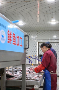 武汉东西湖有条净鱼产业链，让武汉水产品走向全国人民餐桌