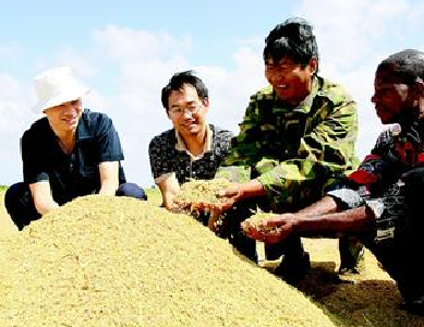 亩产从150公斤提升至400公斤 鄂企助力莫桑比克新“稻”路