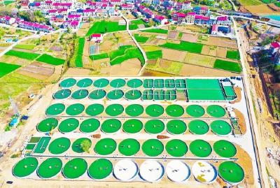 鱼儿“上岸” 海鲜陆养  设施养殖推动湖北渔业转型发展