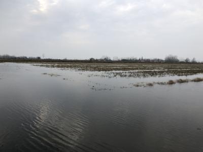 我省发布水产养殖应对寒潮大风、低温雨雪冰冻天气防灾减灾技术措施