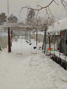 水产养殖抗低温雨雪冰冻技术措施