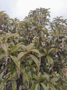 给渔民的一封信