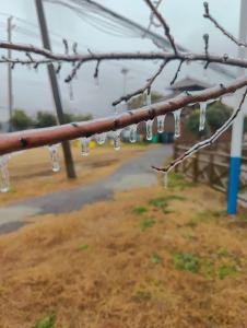 农业农村部紧急部署安排节后寒潮天气防范应对工作