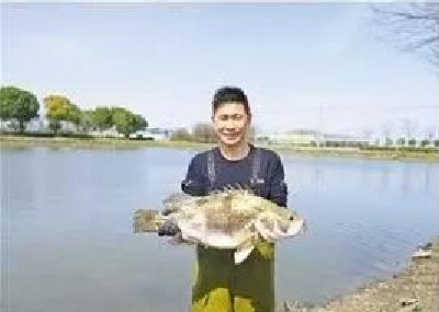 11.4斤的鳜鱼和67.2斤的青鱼夺魁