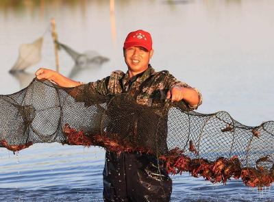 共6项！湖北省发布2024年渔业主推技术指南