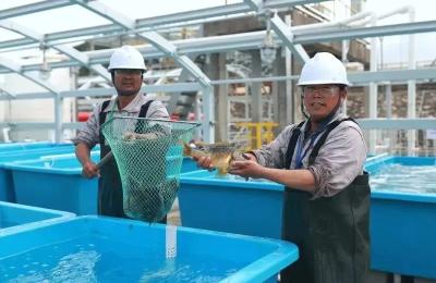 整个新活儿：天然气养龙虾