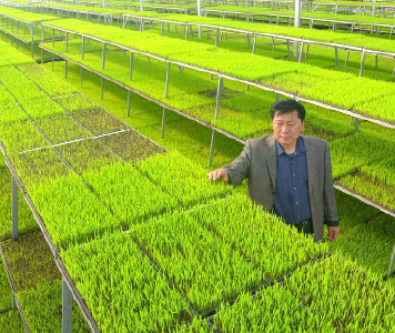 擦亮“中国农谷”金字招牌，荆门打造6条百亿级农业全产业链
