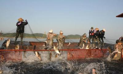 科技赋能产业！安徽水产养殖面积在内陆省份遥遥领先