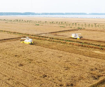 钟祥2100余台农机装上“北斗”闹春耕