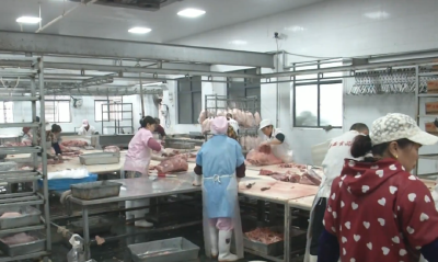 农业农村部召开视频调度会部署强化生猪检疫和屠宰工作